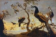 Frans Snyders Group of Birds Perched on Branches oil painting